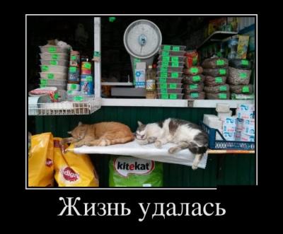 Прикрепленное изображение: demotivatory_17.jpg